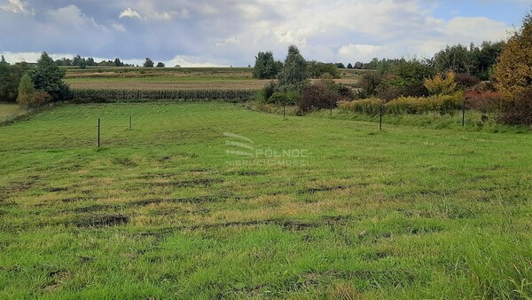 Działka 900 m2 w JERZMANOWICE-PRZEGINIA