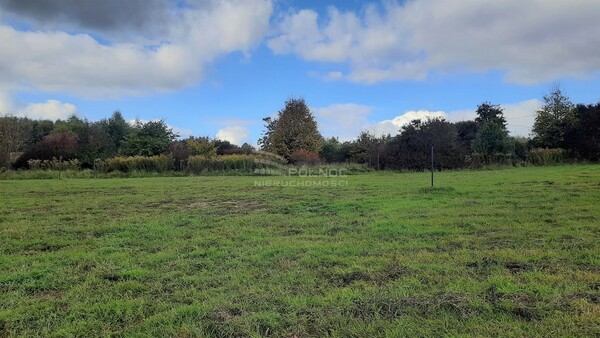 Działka 900 m2 w JERZMANOWICE-PRZEGINIA