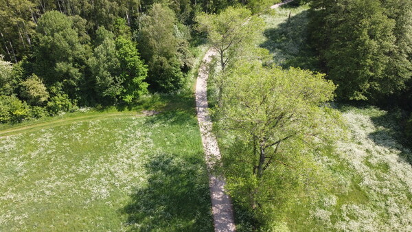 Działka 1547 m2 w BORNE SULINOWO