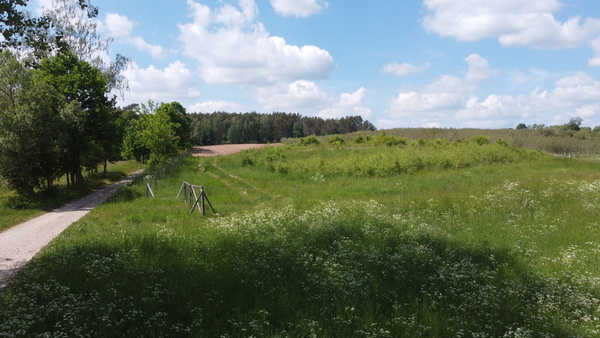 Działka 1511 m2 w BORNE SULINOWO