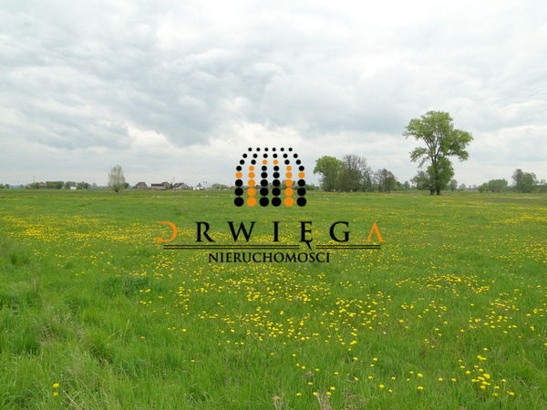 Działka 1000 m2 w GORZÓW WIELKOPOLSKI