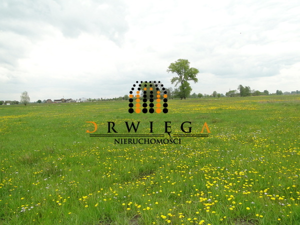 Działka 1000 m2 w GORZÓW WIELKOPOLSKI