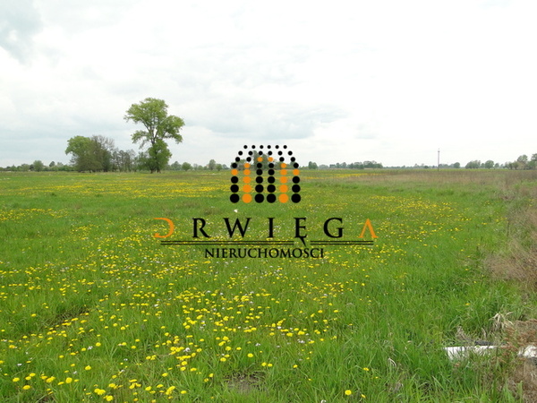 Działka 1000 m2 w GORZÓW WIELKOPOLSKI