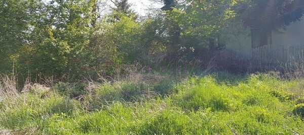 Działka 1502 m2 w WARSZAWA