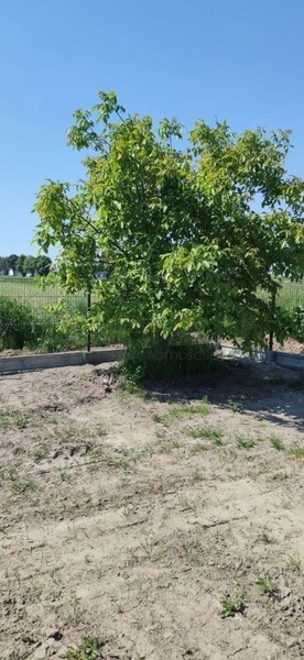 Działka 1900 m2 w BŁONIE