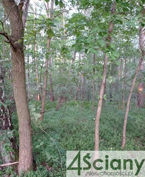 Działka 35000 m2 w GRODZISK MAZOWIECKI