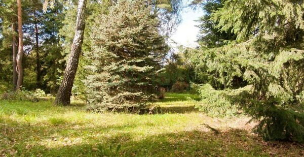 Działka 1738 m2 w BRWINÓW