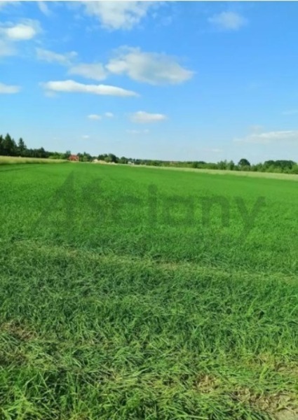 Działka 800 m2 w SEROCK