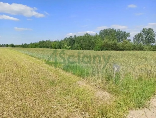 Działka 800 m2 w SEROCK