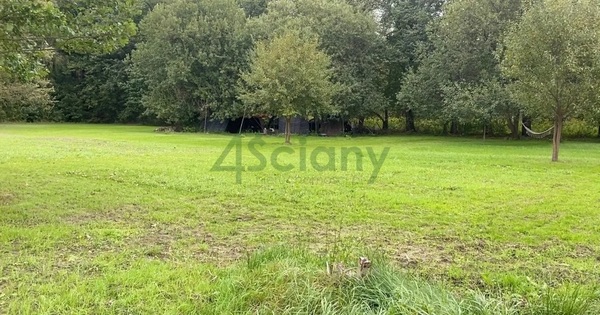 Działka 3900 m2 w ŻABIA WOLA