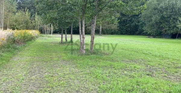 Działka 3900 m2 w ŻABIA WOLA