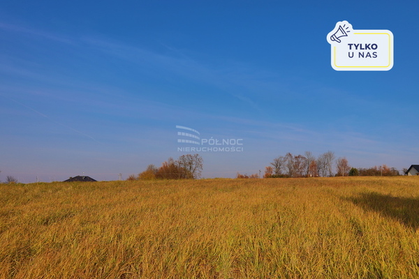 Działka 11119 m2 w IWANOWICE