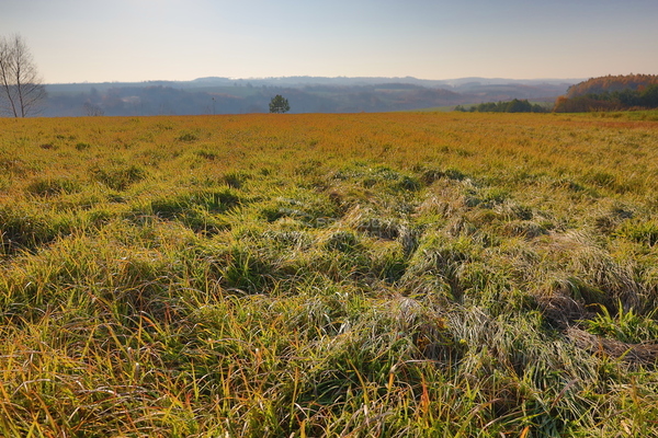 Działka 11119 m2 w IWANOWICE