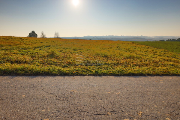 Działka 11119 m2 w IWANOWICE