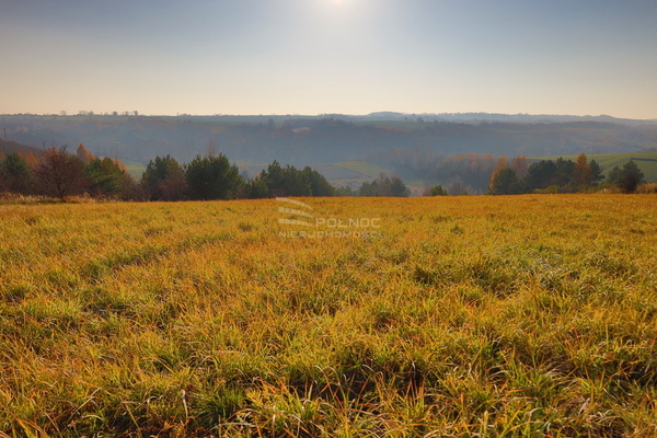 Działka 11119 m2 w IWANOWICE