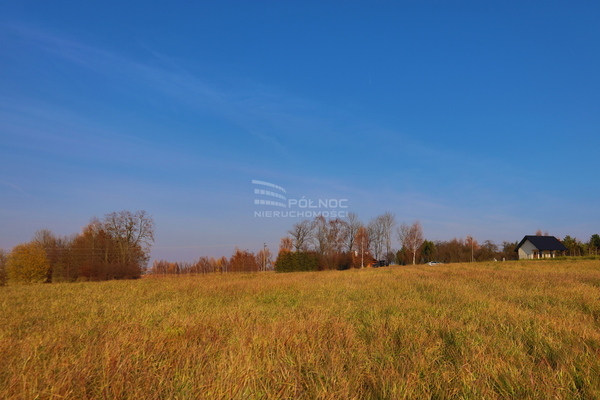 Działka 11119 m2 w IWANOWICE