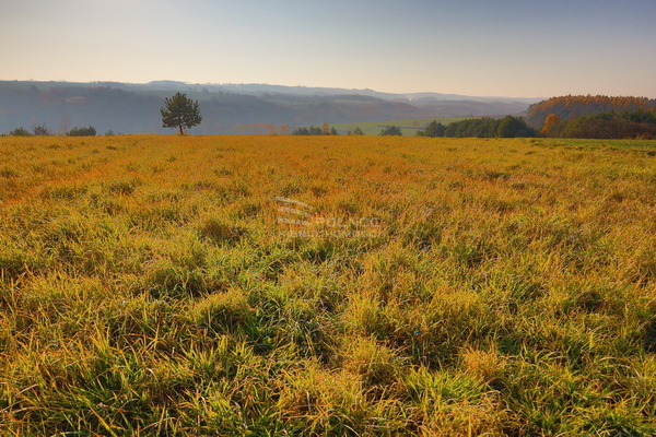 Działka 11119 m2 w IWANOWICE