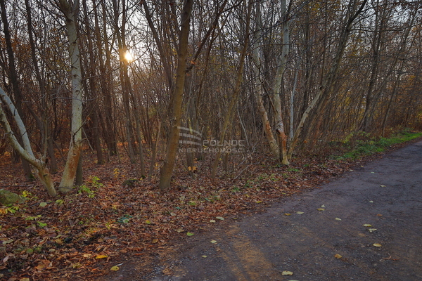 Działka 1160 m2 w KRAKÓW