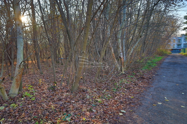 Działka 1160 m2 w KRAKÓW