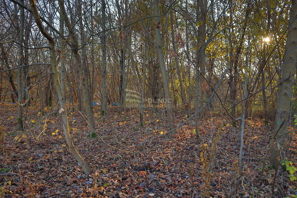 Działka 1160 m2 w KRAKÓW