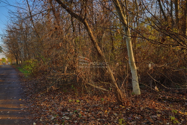 Działka 1160 m2 w KRAKÓW