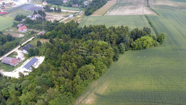 Działka 1904 m2 w PAŁECZNICA