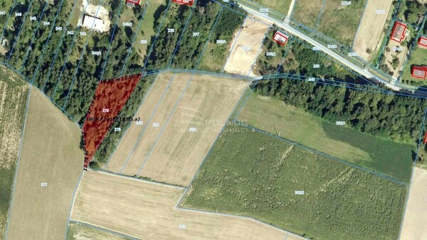 Działka 1904 m2 w PAŁECZNICA