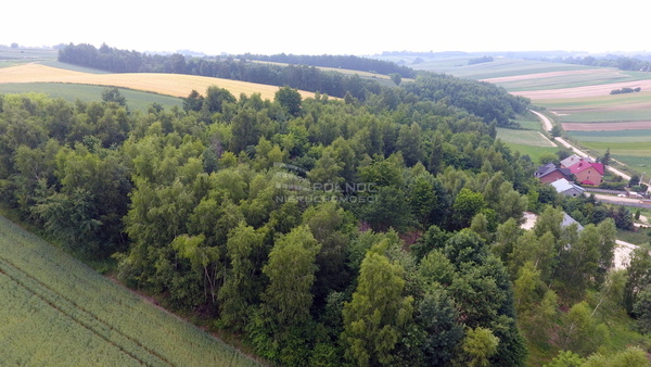 Działka 3475 m2 w PAŁECZNICA