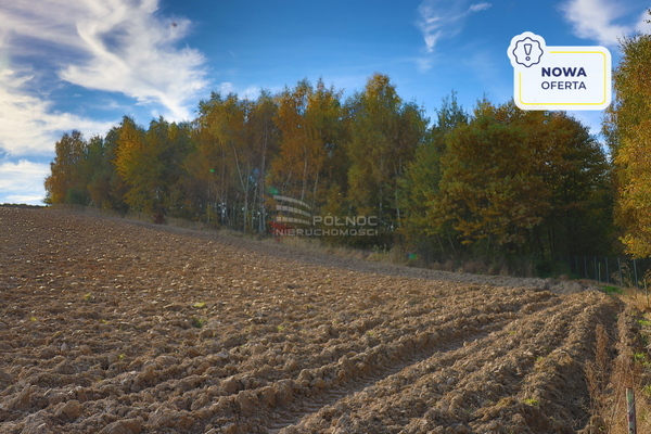 Działka 3475 m2 w PAŁECZNICA