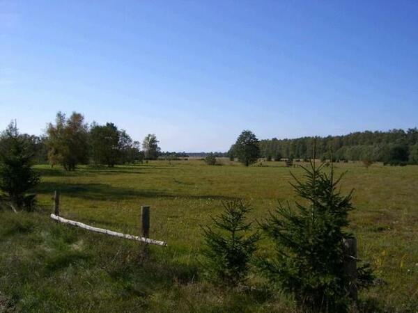 Działka 1029 m2 w REWAL