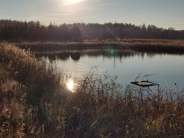 Działka 10400 m2 w ZABŁUDÓW