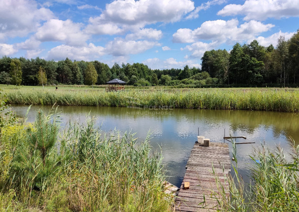 Działka 10400 m2 w ZABŁUDÓW