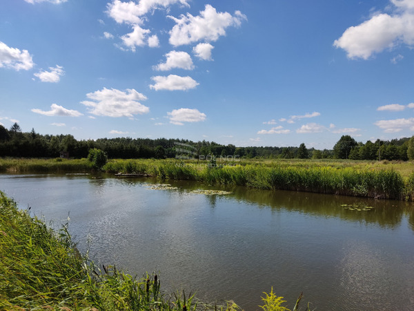 Działka 10400 m2 w ZABŁUDÓW