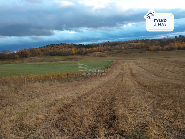 Działka 12000 m2 w ZAWONIA