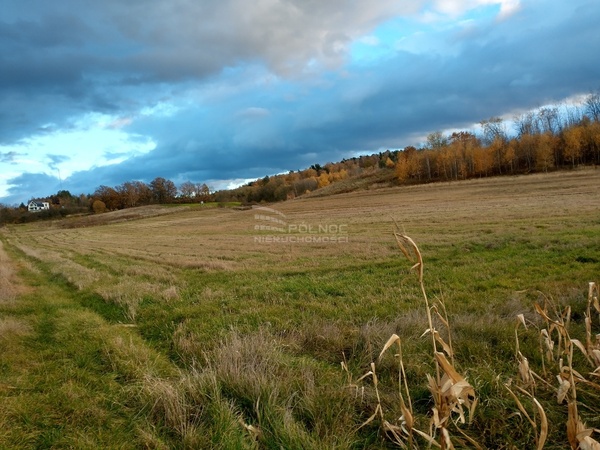 Działka 12000 m2 w ZAWONIA