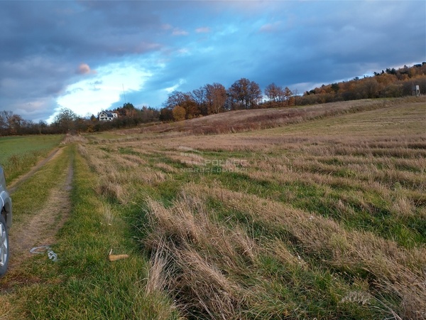 Działka 12000 m2 w ZAWONIA