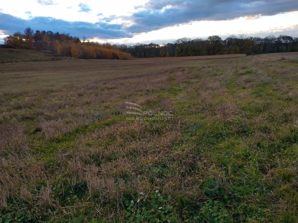 Działka 12000 m2 w ZAWONIA