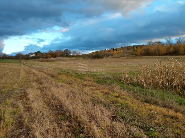 Działka 12000 m2 w ZAWONIA