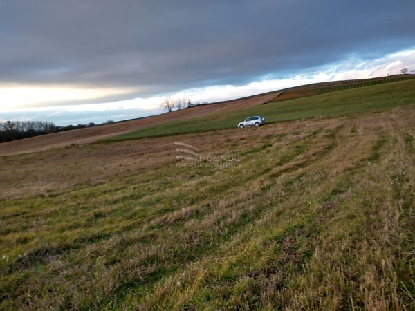 Działka 12000 m2 w ZAWONIA