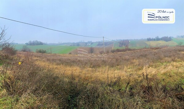 Działka 11290 m2 w CHARSZNICA