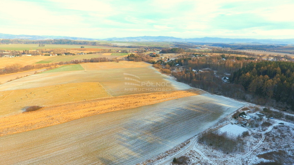 Działka 8100 m2 w SZCZYTNA