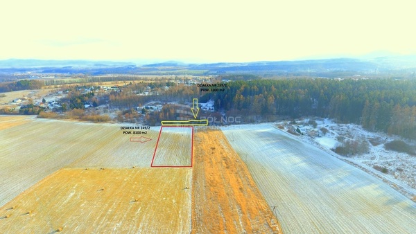 Działka 8100 m2 w SZCZYTNA