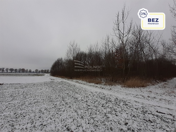 Działka 5900 m2 w ŁASZCZÓW