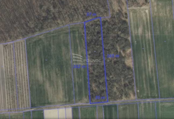 Działka 5900 m2 w ŁASZCZÓW