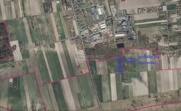 Działka 5900 m2 w ŁASZCZÓW