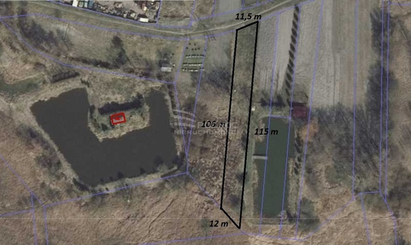 Działka 5900 m2 w ŁASZCZÓW