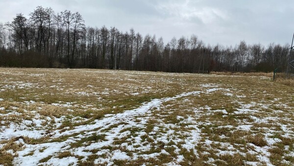 Działka 4868 m2 w RZEZAWA