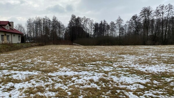 Działka 4868 m2 w RZEZAWA