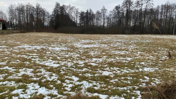 Działka 4868 m2 w RZEZAWA