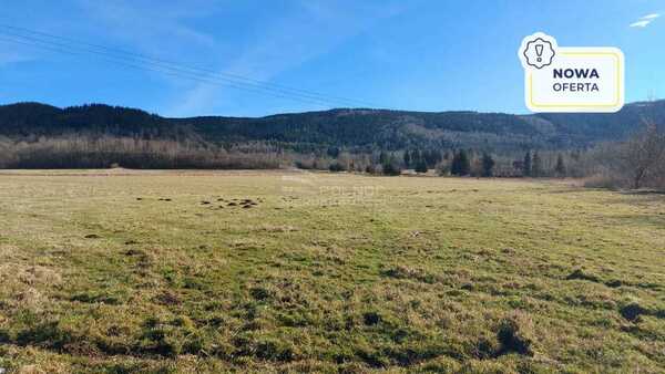 Działka 5331 m2 w KOWARY